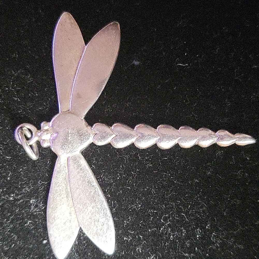 Dragonfly - Picture 2 of 3